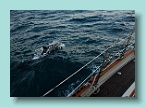 341_Port Escort